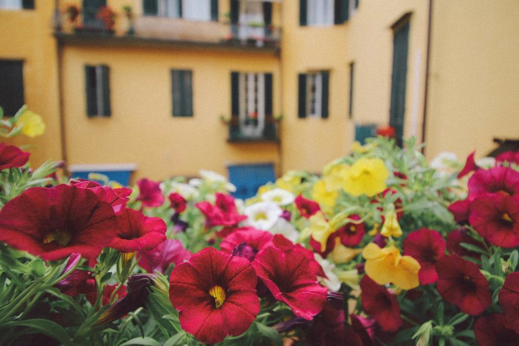 Bed and Breakfast Martindago Firenze Esterno foto